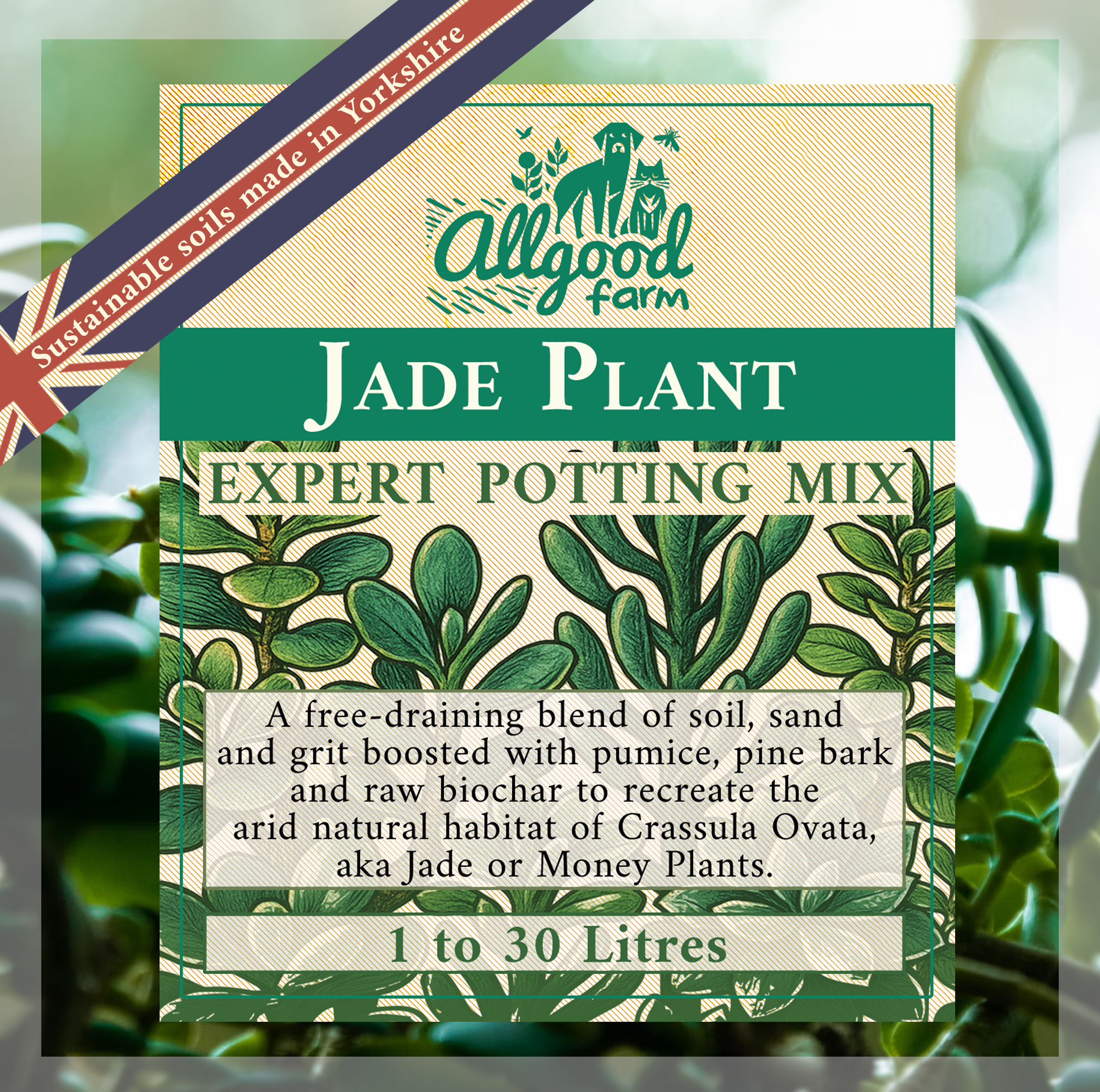 Jade (Money Plant) Soil