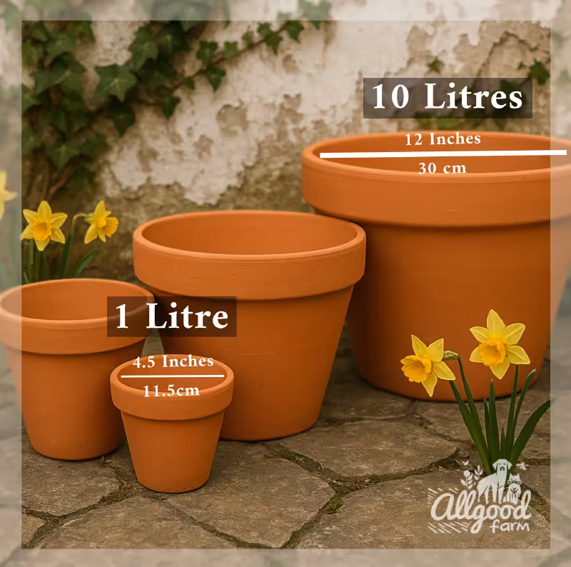 terracotta pots of 4.5 inch diameter holds 1 litre, pot of 12 inch diameter holds 10 litres