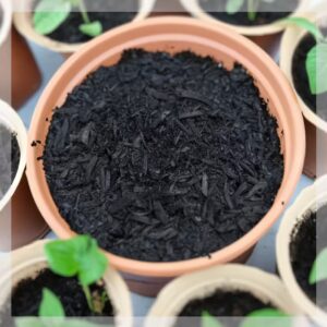 pure biochar soil improver