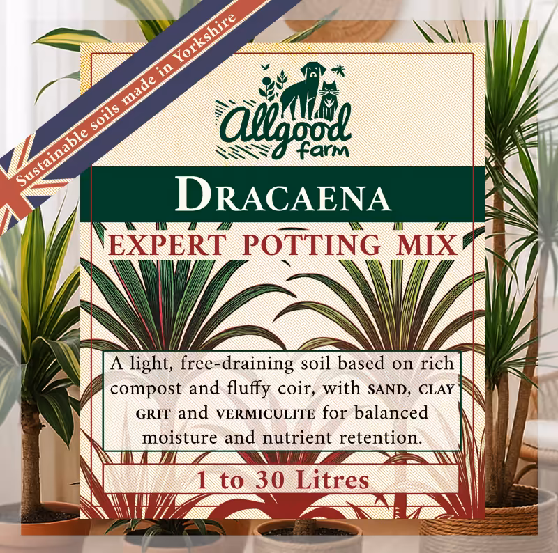 Dracaena (Dragon Tree) Soil