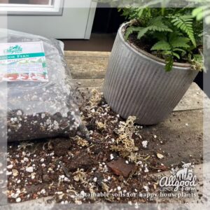 allgood farm fern soil