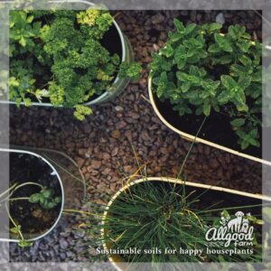 mint, parsley, coriander, chives and basil