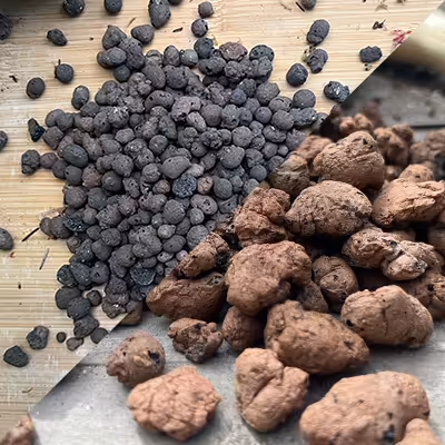expanded clay pebbles and grit