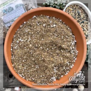 soil for lithops, titanopsis, aloinopsis, mesembs
