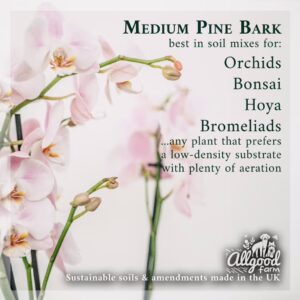 Medium Pine Bark - Image 2