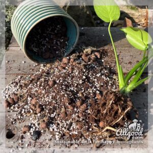 allgood farm soil for monstera