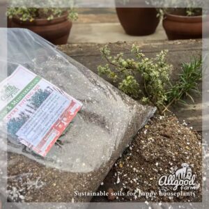 free draining sandy soil for olive trees, rosemary and lavender