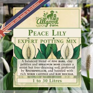 allgood farm peace lily spathiphyllum houseplant soil mix product label