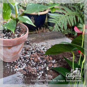 chunky soil mix for philodendron and anthurium houseplants