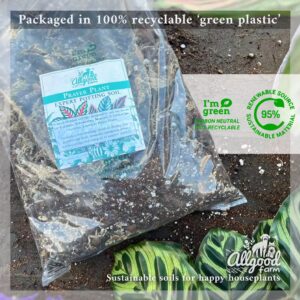 allgood farm prayer plant repotting soil in green recyclable packaging