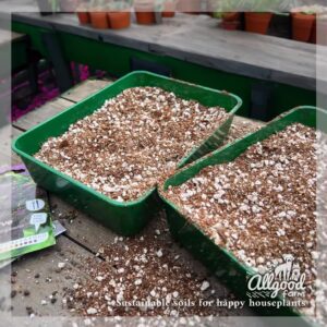 allgood farm seedling and cutting starter soil mix