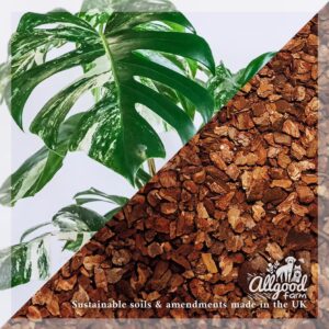 Chunky Pine Bark - Image 3