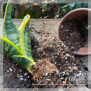 allgood farm snake plant soil mix with grit