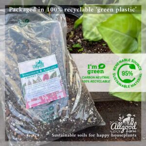 syngonium and alocasia soil mix in recyclable packaging
