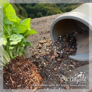 chunky soil mix for syngonium and alocasia plants
