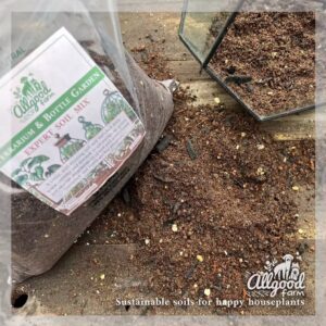 terrarium soil with biochar, grit and worm castings