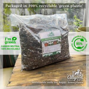 Indoor Begonia Soil - Image 4