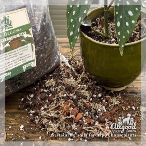 Indoor Begonia Soil - Image 3