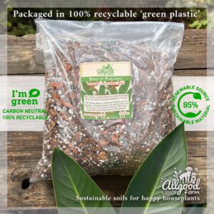 Bird of Paradise (Strelitzia) Soil - Image 3