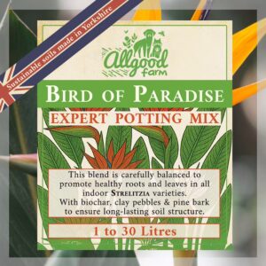 allgood Farm Bird of Paradise soil