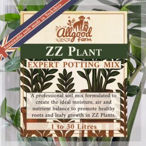zz plant soil