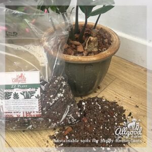 ZZ Plant Soil - Image 2