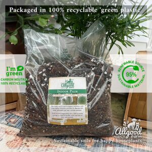 Palm Tree Soil - Image 3