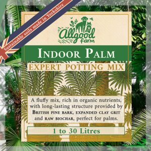 Palm Tree Soil - Image 1