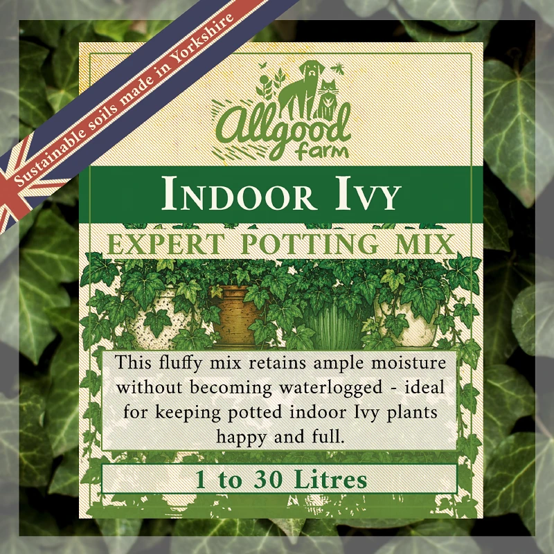 Indoor Ivy Soil
