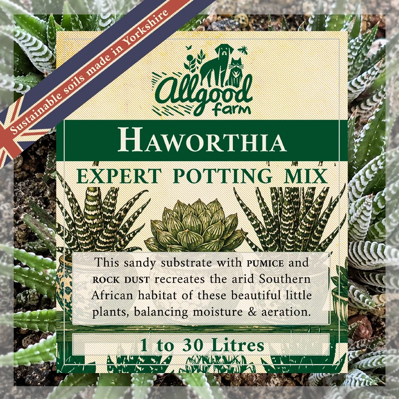 Haworthia Soil