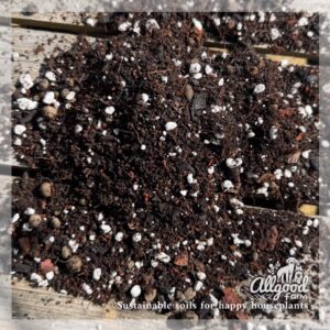 hand mixed soil for indoor roses