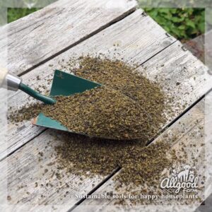 Seaweed Meal - Image 5