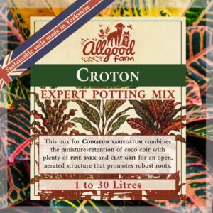 Croton (Codiaeum variegatum) Soil