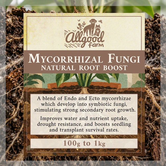 Mycorrhizal Fungi Root Boost