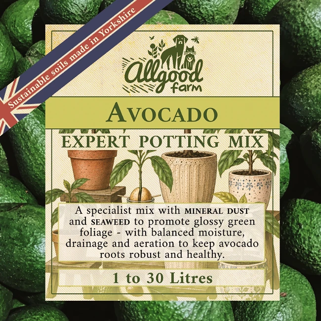 Avocado Soil