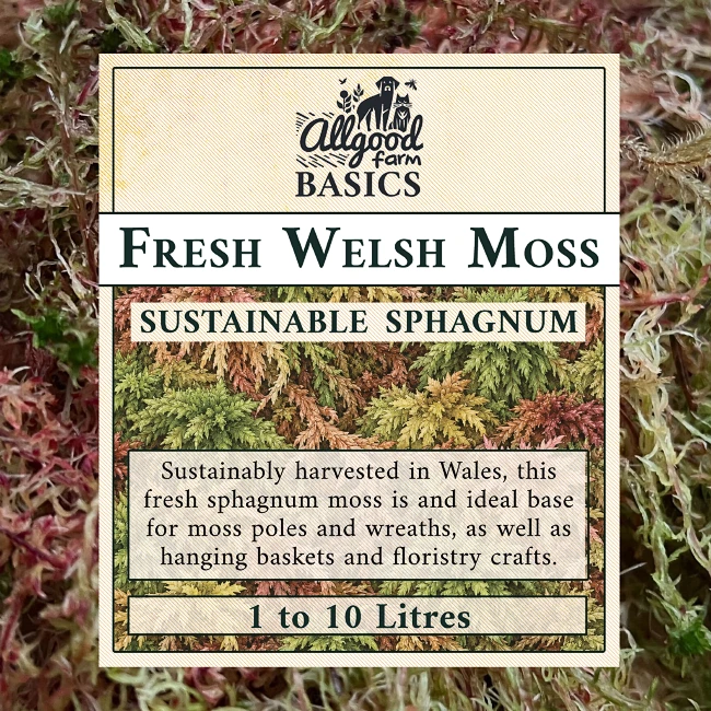 Fresh Welsh Sphagnum Moss